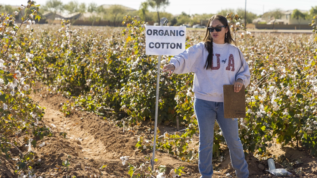 Agriculture Image 2